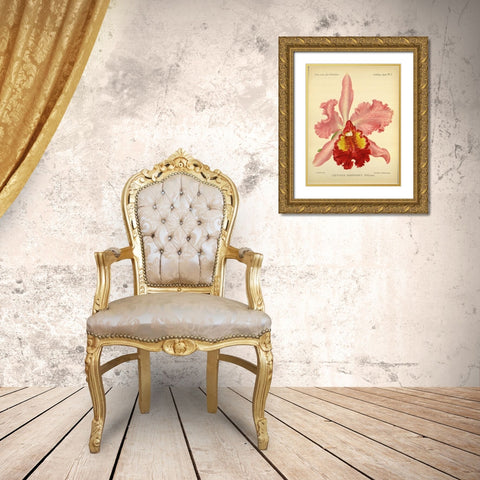 Orchid, Catlleya Hardyana Gold Ornate Wood Framed Art Print with Double Matting by Goossens, A.