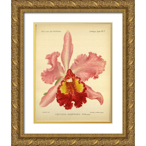Orchid, Catlleya Hardyana Gold Ornate Wood Framed Art Print with Double Matting by Goossens, A.