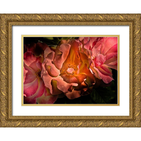 Roses Gold Ornate Wood Framed Art Print with Double Matting by Carson, Brian
