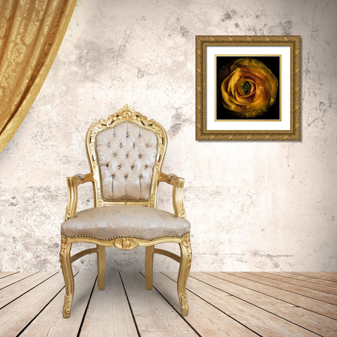 Golden Yellow Rose Gold Ornate Wood Framed Art Print with Double Matting by Carson, Brian