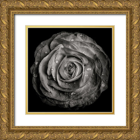 Black and White Rose Gold Ornate Wood Framed Art Print with Double Matting by Carson, Brian