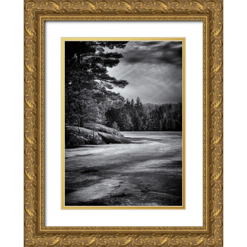 Gull Wing Lake Gold Ornate Wood Framed Art Print with Double Matting by Carson, Brian