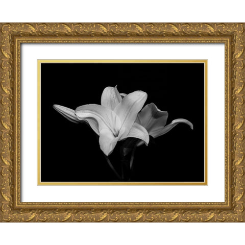 White Lily Gold Ornate Wood Framed Art Print with Double Matting by Graciet, Stephane