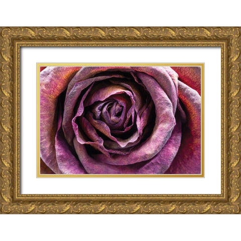 Purple Rose Gold Ornate Wood Framed Art Print with Double Matting by Graciet, Stephane