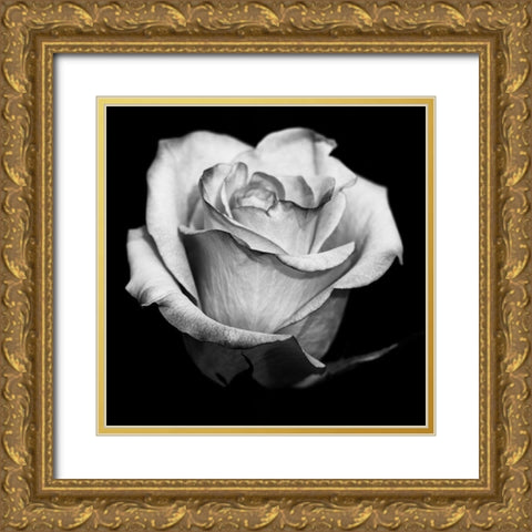Black and White Rose Gold Ornate Wood Framed Art Print with Double Matting by Graciet, Stephane