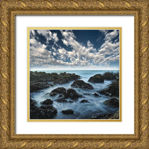 Ocean Seatide I, Color Gold Ornate Wood Framed Art Print with Double Matting by Anonymous