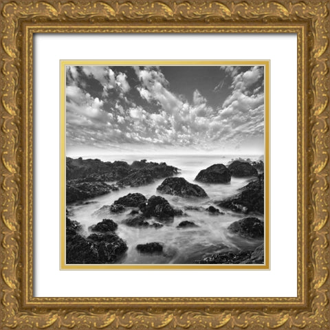 Ocean Seatide I Gold Ornate Wood Framed Art Print with Double Matting by Anonymous