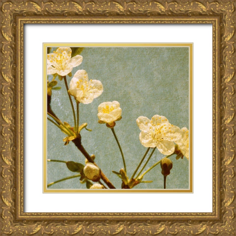 Blossoming Branch Gold Ornate Wood Framed Art Print with Double Matting by Anonymous