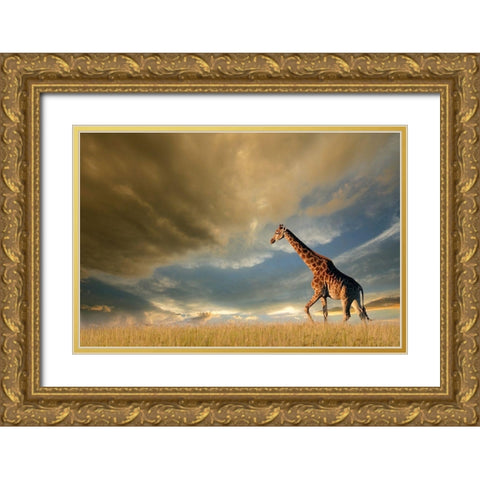 Giraffes, African Skies Gold Ornate Wood Framed Art Print with Double Matting by Anonymous
