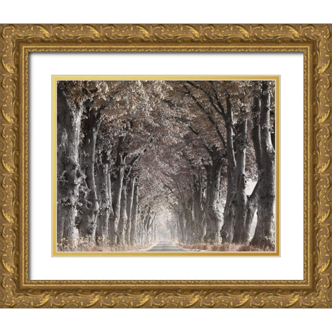 Down The Country Road Gold Ornate Wood Framed Art Print with Double Matting by Anonymous