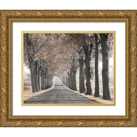 Road Through Tree Alley Gold Ornate Wood Framed Art Print with Double Matting by Anonymous