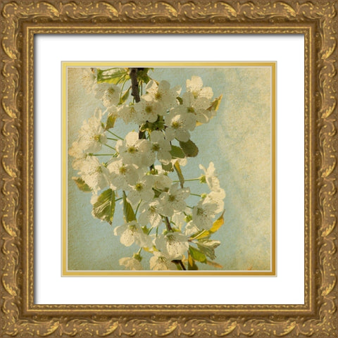 Spring Bloom Gold Ornate Wood Framed Art Print with Double Matting by Anonymous