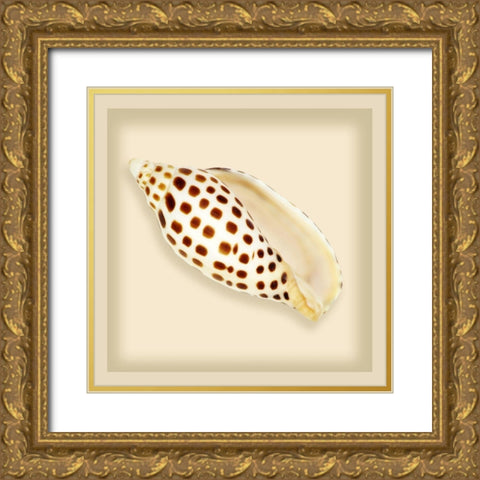 Leopard Shell Gold Ornate Wood Framed Art Print with Double Matting by Anonymous