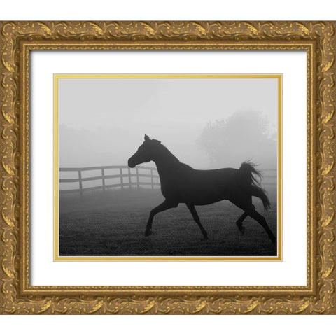 Morning Pasture II Gold Ornate Wood Framed Art Print with Double Matting by Anonymous