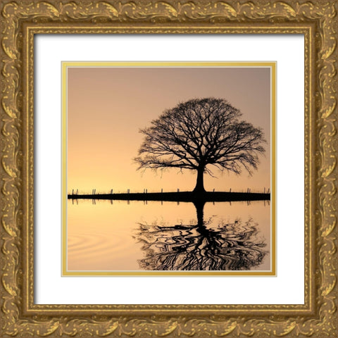 Shimmering Oak, Color Gold Ornate Wood Framed Art Print with Double Matting by Anonymous