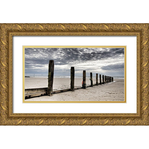 Post Row at Beach Gold Ornate Wood Framed Art Print with Double Matting by Adrian Z