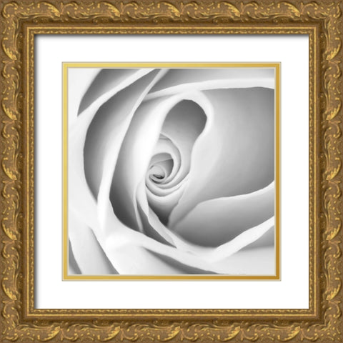 Rose Swirl I Gold Ornate Wood Framed Art Print with Double Matting by Anonymous