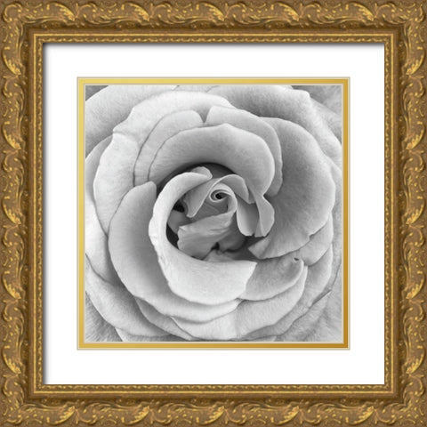 Rose Swirl II Gold Ornate Wood Framed Art Print with Double Matting by Anonymous