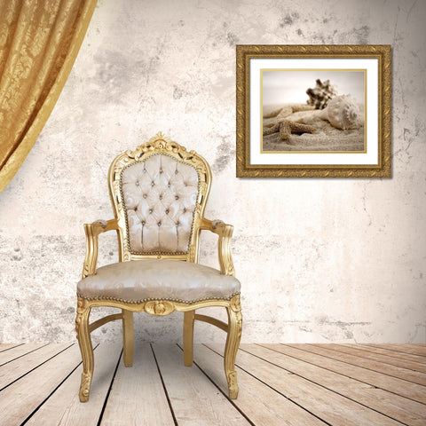 Seashells in the Sand Gold Ornate Wood Framed Art Print with Double Matting by Cunningham, S.