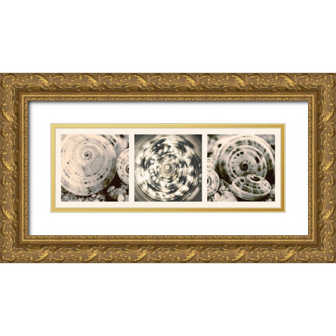 Shell Collection Gold Ornate Wood Framed Art Print with Double Matting by Lourens, N.