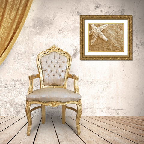 Starfish in the Sand Gold Ornate Wood Framed Art Print with Double Matting by Anonymous