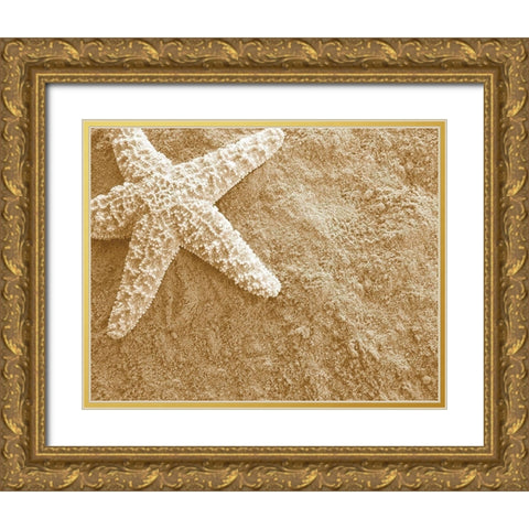 Starfish in the Sand Gold Ornate Wood Framed Art Print with Double Matting by Anonymous