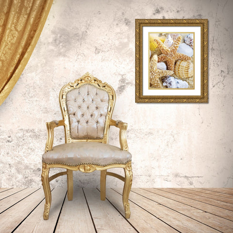 Starfish and Shells Gold Ornate Wood Framed Art Print with Double Matting by Anonymous
