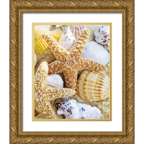 Starfish and Shells Gold Ornate Wood Framed Art Print with Double Matting by Anonymous