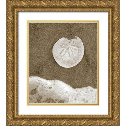 Sand Dollar and Surf Gold Ornate Wood Framed Art Print with Double Matting by Anonymous
