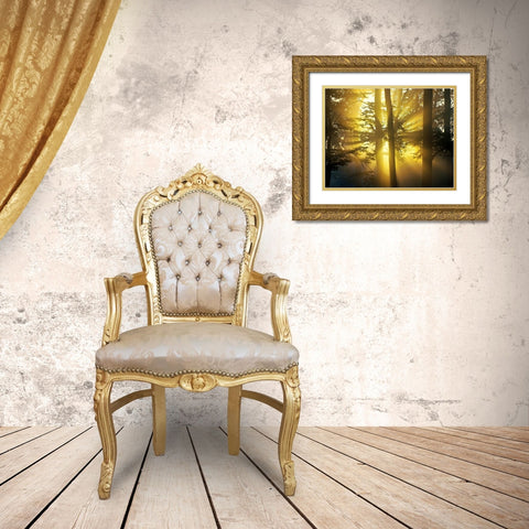 Light Through the Trees I, Color Gold Ornate Wood Framed Art Print with Double Matting by Anonymous