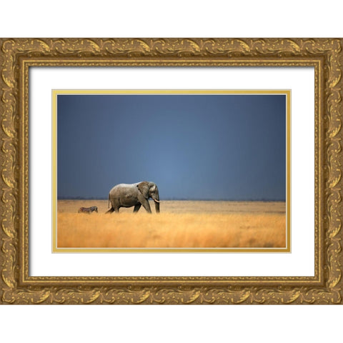 Follow the Leader, Color Gold Ornate Wood Framed Art Print with Double Matting by Gerhardus