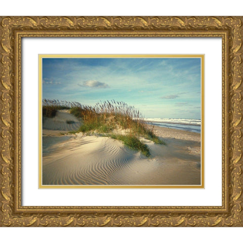Sand Dunes Gold Ornate Wood Framed Art Print with Double Matting by Anonymous