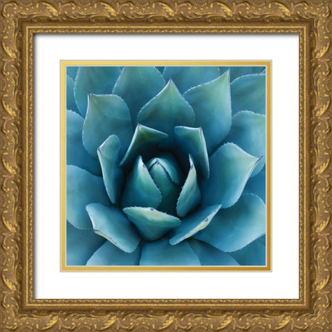 Southwest Beauty Gold Ornate Wood Framed Art Print with Double Matting by Hennigan
