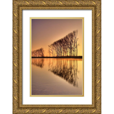 Reflections Gold Ornate Wood Framed Art Print with Double Matting by Anonymous