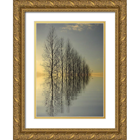 Reflections II Gold Ornate Wood Framed Art Print with Double Matting by Anonymous