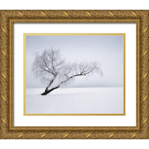 Solitude Gold Ornate Wood Framed Art Print with Double Matting by Anonymous