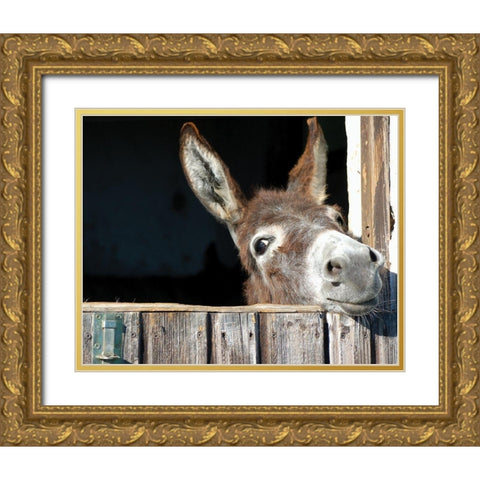 Whos There? Gold Ornate Wood Framed Art Print with Double Matting by Hawlan