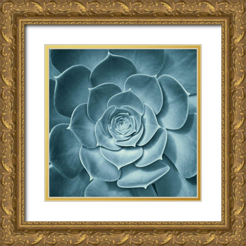 Symmetrical Flora Gold Ornate Wood Framed Art Print with Double Matting by Spiler