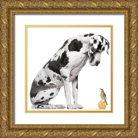Thats My Ball Gold Ornate Wood Framed Art Print with Double Matting by Anonymous