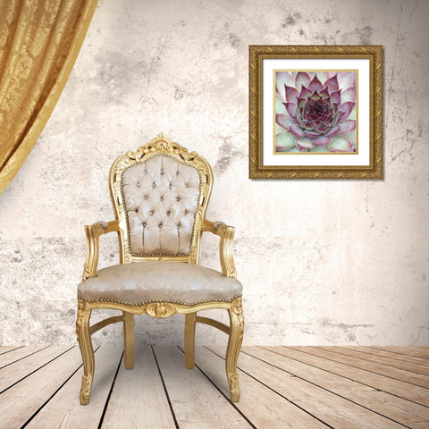 Sempervivum Florette Gold Ornate Wood Framed Art Print with Double Matting by Avison