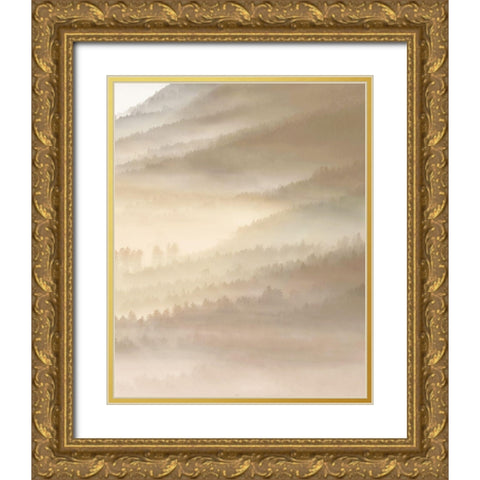 Fog Valley Il. Gold Ornate Wood Framed Art Print with Double Matting by Herzog