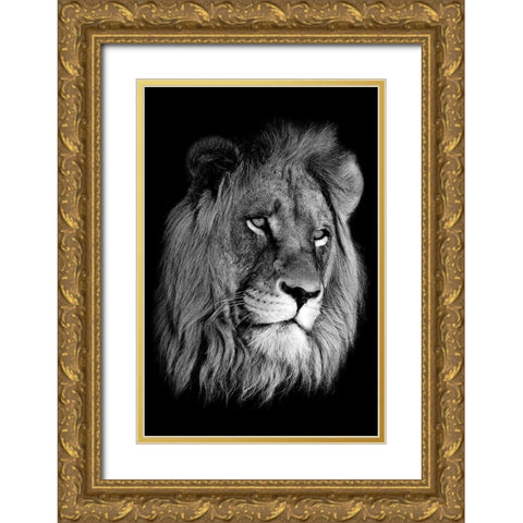 Lion King Gold Ornate Wood Framed Art Print with Double Matting by Anon