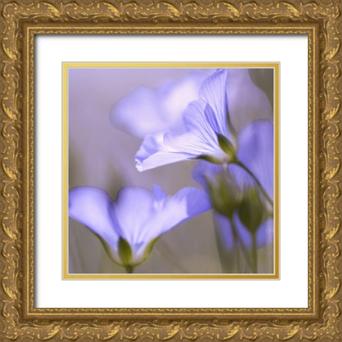 Fleur Mauve Gold Ornate Wood Framed Art Print with Double Matting by Anonymous