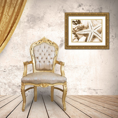 Starfish Impression Gold Ornate Wood Framed Art Print with Double Matting by Anonymous