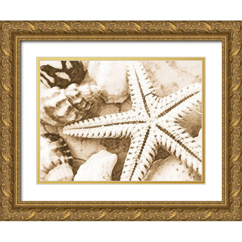 Starfish Impression Gold Ornate Wood Framed Art Print with Double Matting by Anonymous