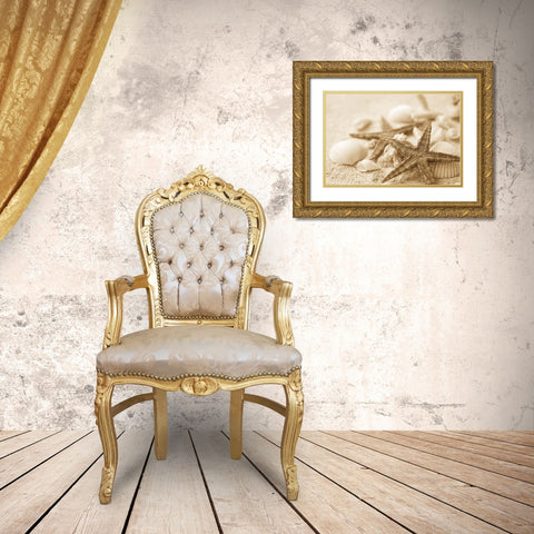 Starfish and Seashells Gold Ornate Wood Framed Art Print with Double Matting by Anonymous