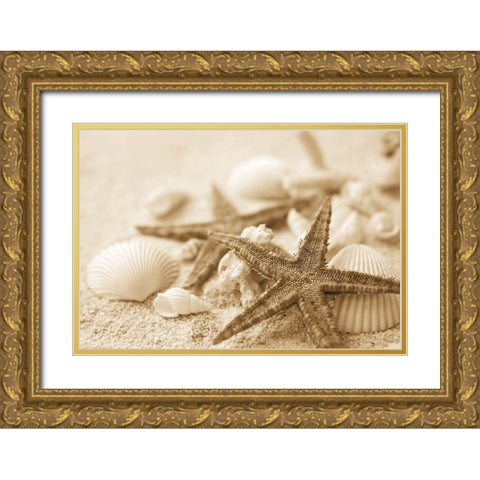 Starfish and Seashells Gold Ornate Wood Framed Art Print with Double Matting by Anonymous