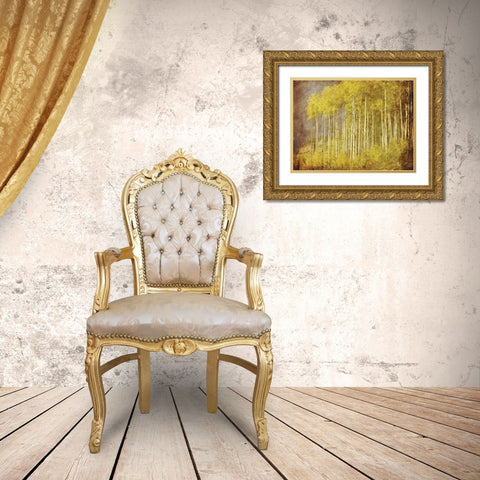 Autumn Aspen ForestAnon Gold Ornate Wood Framed Art Print with Double Matting by Anonymous
