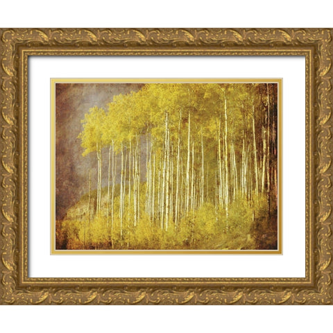 Autumn Aspen ForestAnon Gold Ornate Wood Framed Art Print with Double Matting by Anonymous