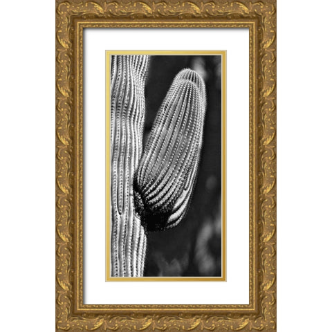 Tucson Saguaro Gold Ornate Wood Framed Art Print with Double Matting by Pearlman, Steve